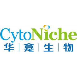 Логотип «CytoNiche»