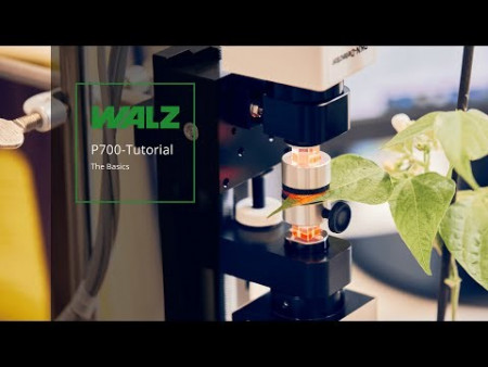 WALZ P700 Tutorial - The basics with DUAL-PAM 100